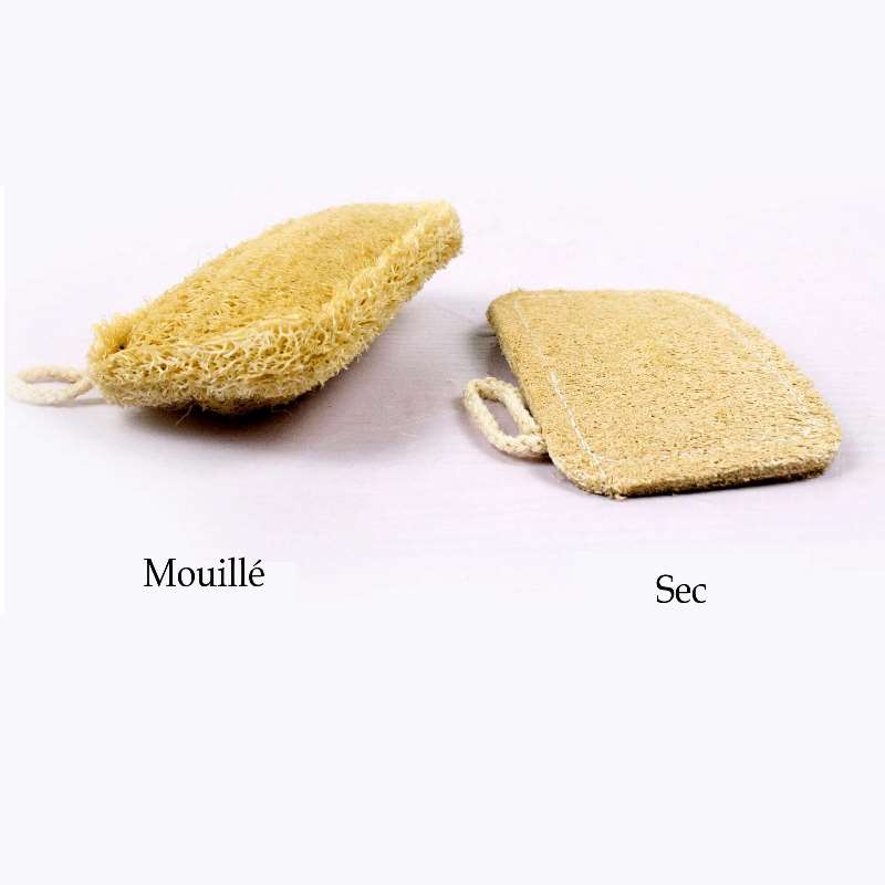 eponge luffa naturelle