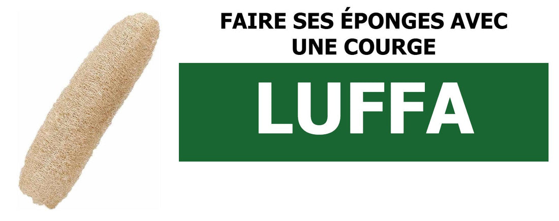Faire ses éponges avec une courge luffa