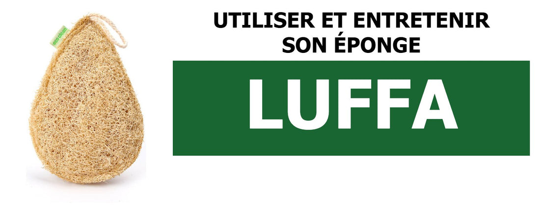 Utiliser et entretenir son éponge luffa