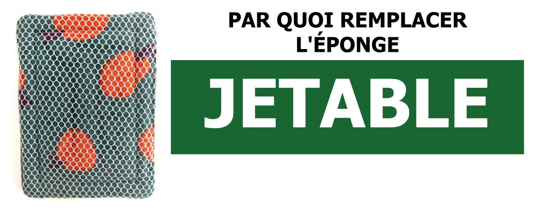 Par quoi remplacer l'éponge jetable