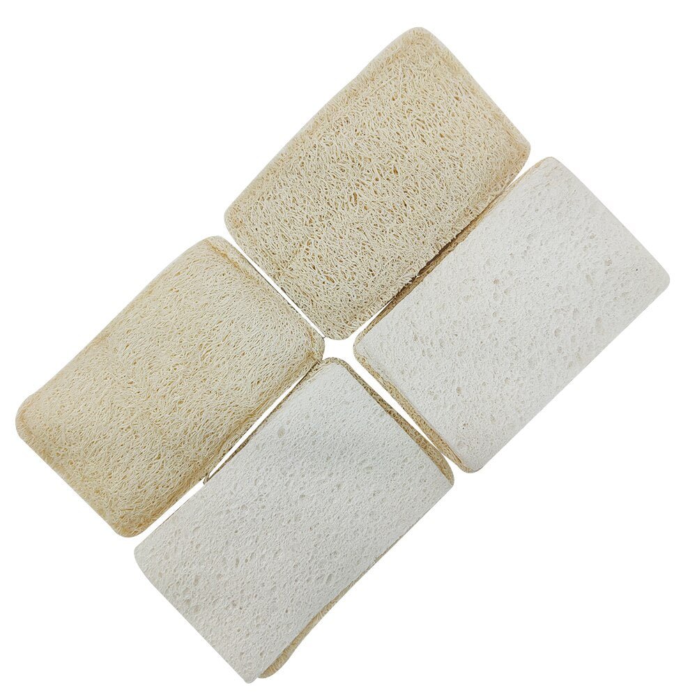 Éponge Luffa - Essuie-Tout-Lavable