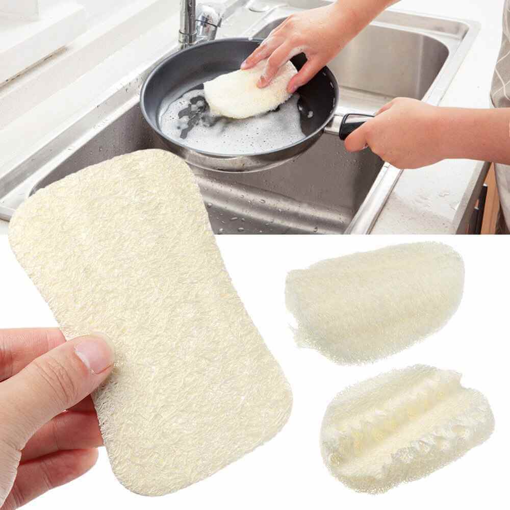 eponge loofah cuisine